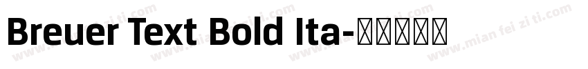 Breuer Text Bold Ita字体转换